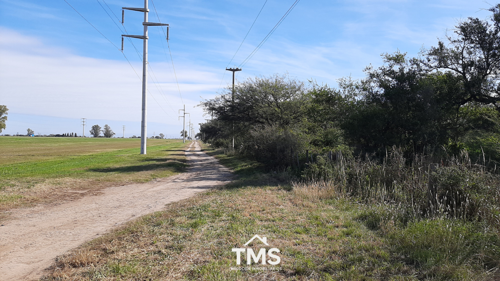 Lotes Industriales sobre RN 19 - De 4.250 m2 a 5.800 m2