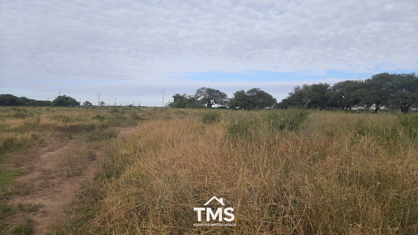 Lotes Industriales sobre RN 19 - De 4.250 m2 a 5.800 m2
