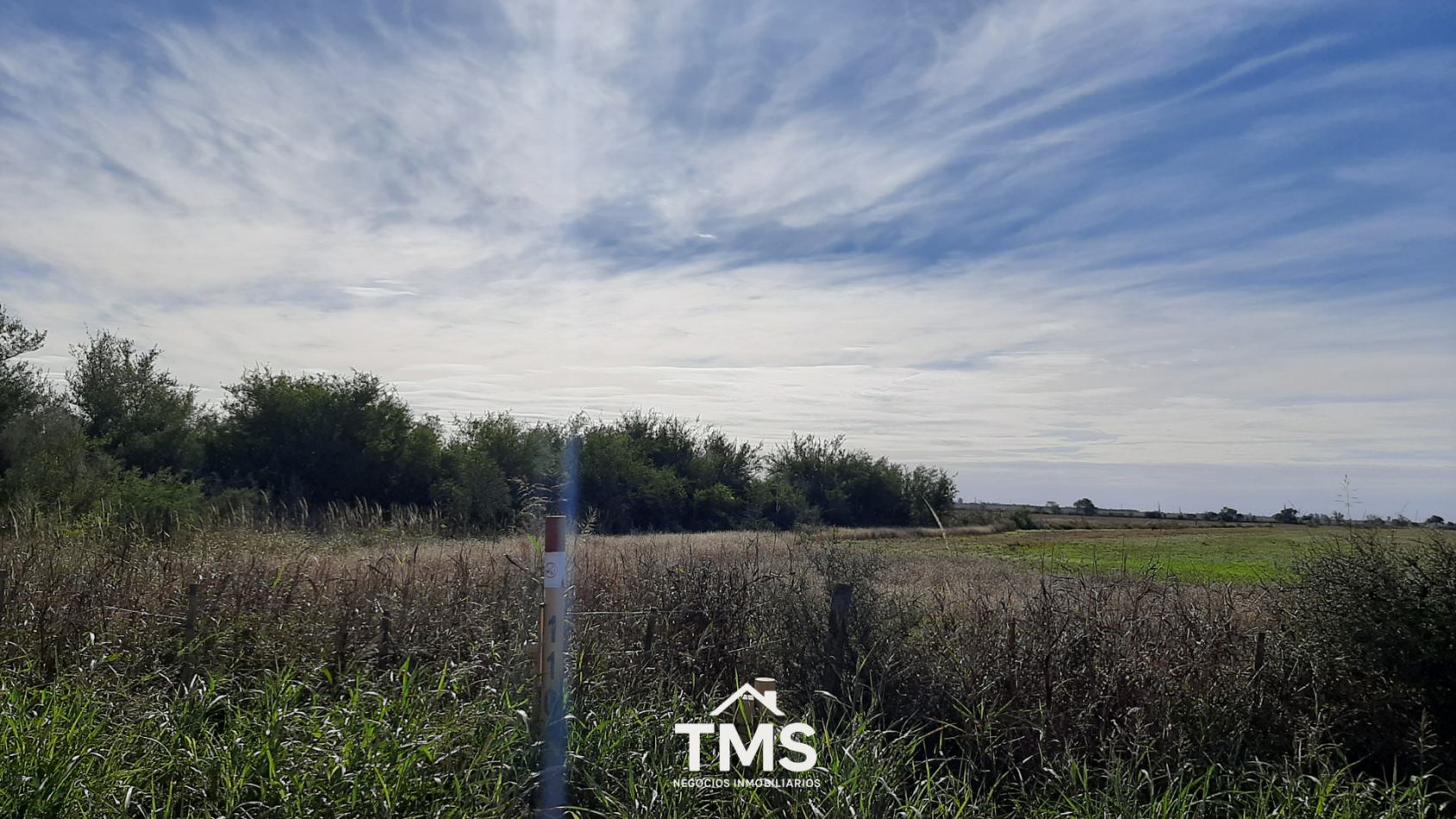 Lotes Industriales sobre RN 19 - De 4.250 m2 a 5.800 m2