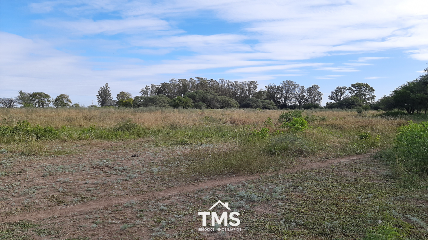 Lotes Industriales sobre RN 19 - De 4.250 m2 a 5.800 m2